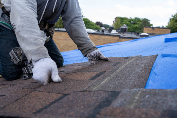 Best Storm Damage Roof Repair  in Breckenridge, CO